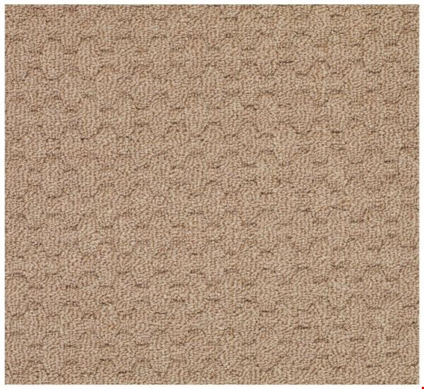 Capel Rugs Creative Concepts Grassy Mountain - Rectangle 4'0" x 6'0" Area Rug