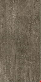Armstrong Alterna Enchanted Forest: Tender Twig Luxury Vinyl Tile D7198