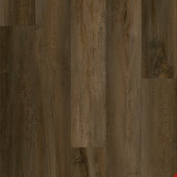 MetroFlor Provident Rigor: Broadway 9