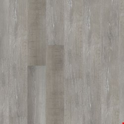 Earthwerks Chassis Pro SPC Plus: Caspas 7