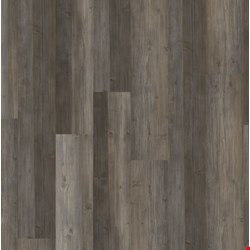 Earthwerks Chassis Pro SPC Plus: Armature 7