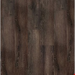 Earthwerks Chassis Pro SPC Plus: Farnham 7