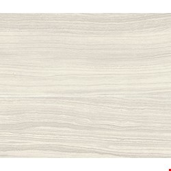 Daltile Santino: Bianco Puro 6