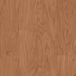Armstrong Natural Creations with Diamond 10 Technology: Solano Maple Sweet Sap 6