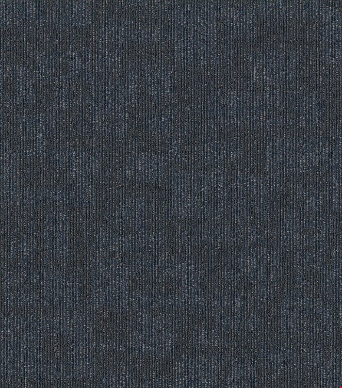 Shaw Forma: Association 24" x 24" Carpet Tile 54948 400