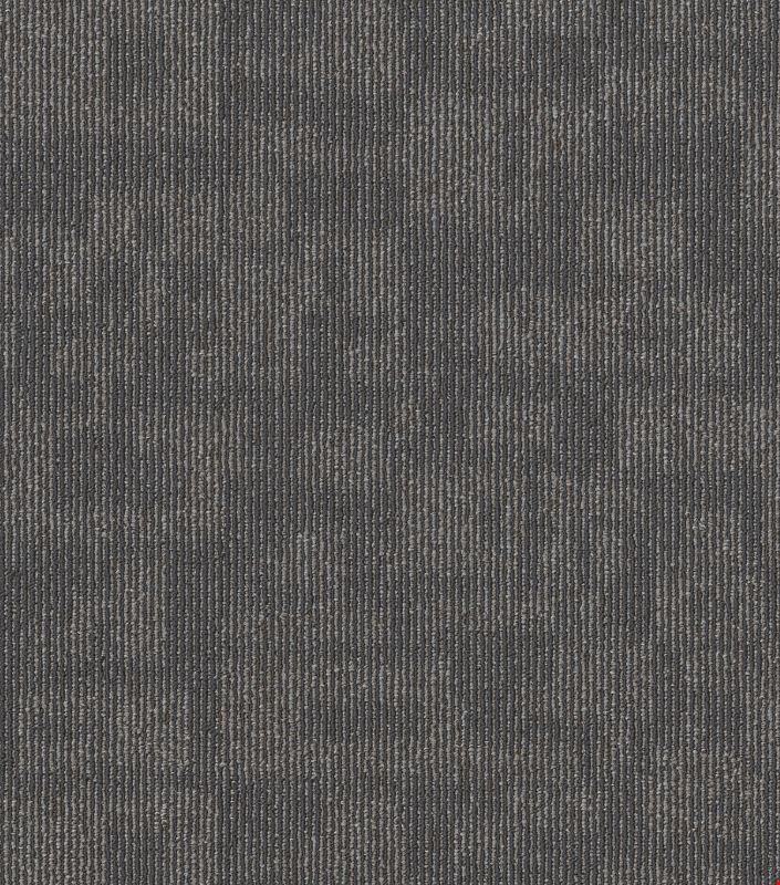 Shaw Forma: Relation 24" x 24" Carpet Tile 54948 500