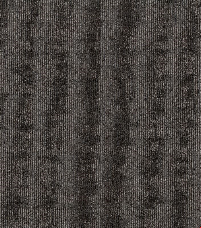 Shaw Forma: Connection 24" x 24" Carpet Tile 54948 510