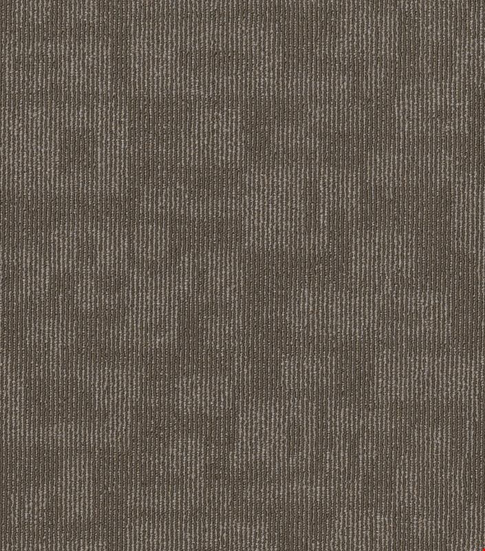 Shaw Forma: Alliance 24" x 24" Carpet Tile 54948 700