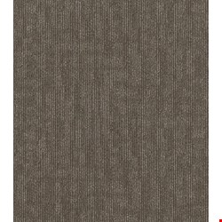 Shaw Semblance: Alliance 24