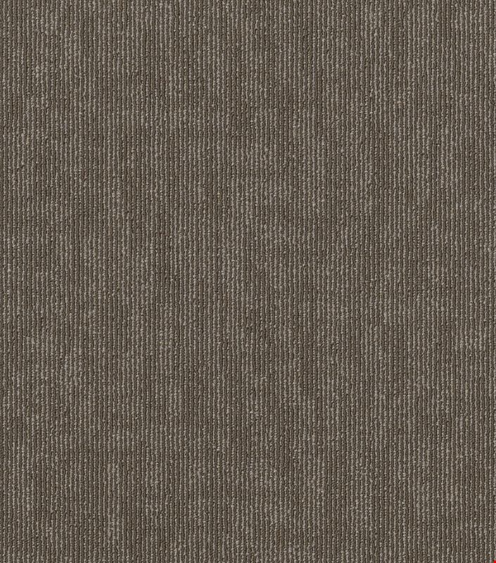 Shaw Semblance: Alliance 24" x 24" Carpet Tile 54949 700