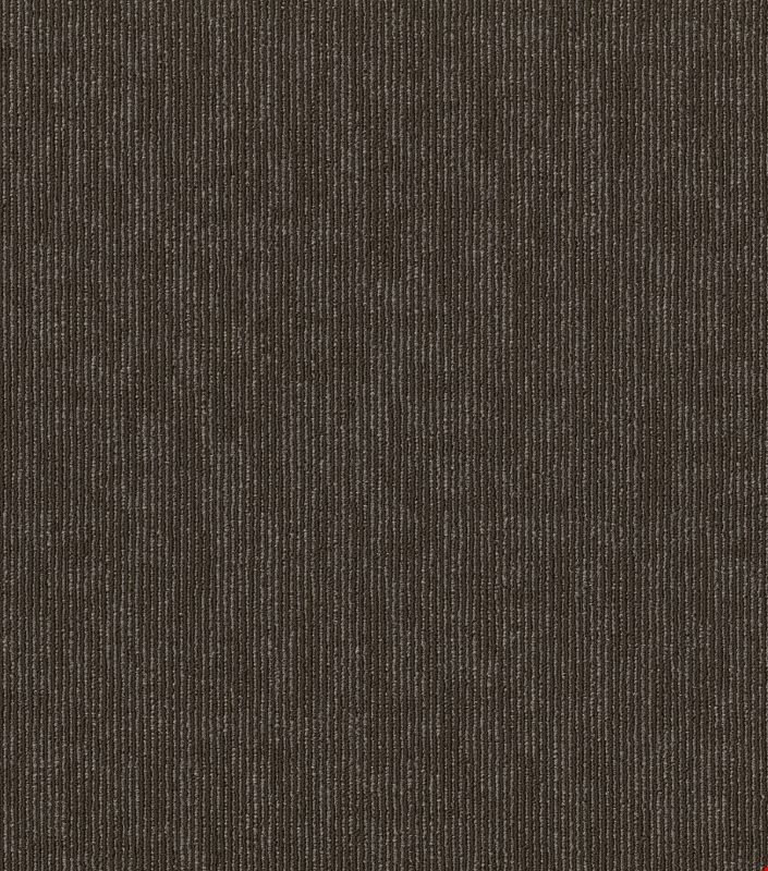 Shaw Semblance: Comparison 24" x 24" Carpet Tile 54949 705