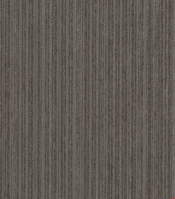 Shaw Novelty: Ingenious 24" x 24" Carpet Tile 54965 65505