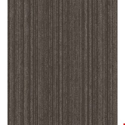 Shaw Novelty: Resolve 24