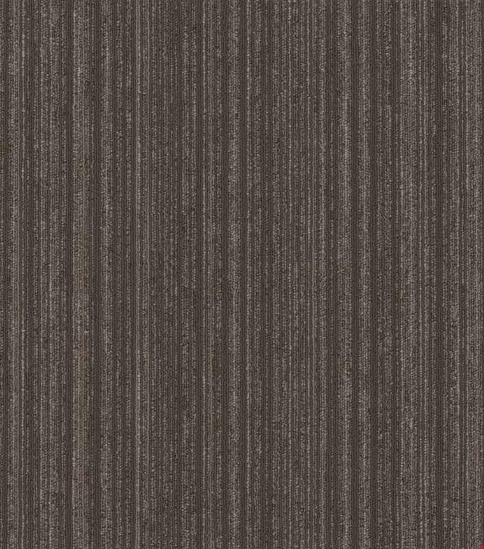 Shaw Novelty: Resolve 24" x 24" Carpet Tile 54965 65525