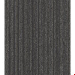 Shaw Novelty: Vigor 24