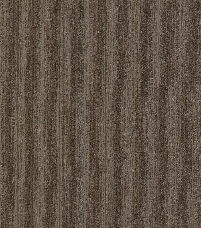 Shaw Novelty: Original 24" x 24" Carpet Tile 54965 65700