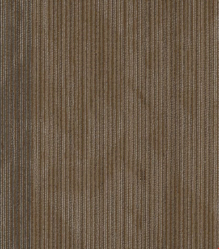 Shaw Declare: Front-Page 24" x 24" Carpet Tile 54904 208