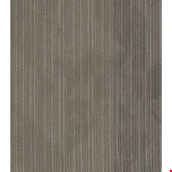 Shaw Declare: Newsfeed 24