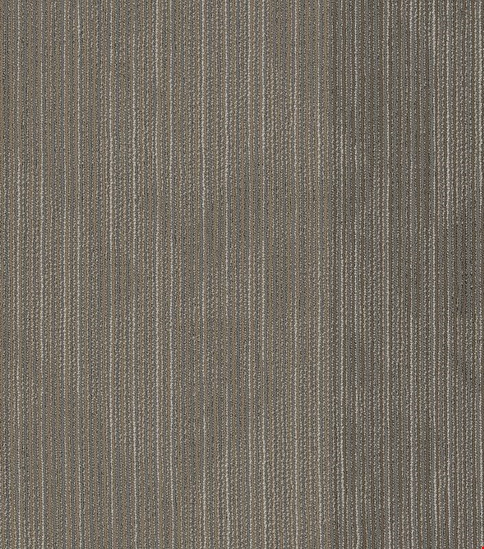Shaw Declare: Newsfeed 24" x 24" Carpet Tile 54904 210