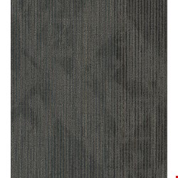 Shaw Declare: Hard News 24