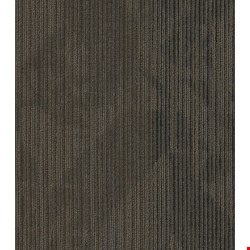 Shaw Declare: Coverage 24