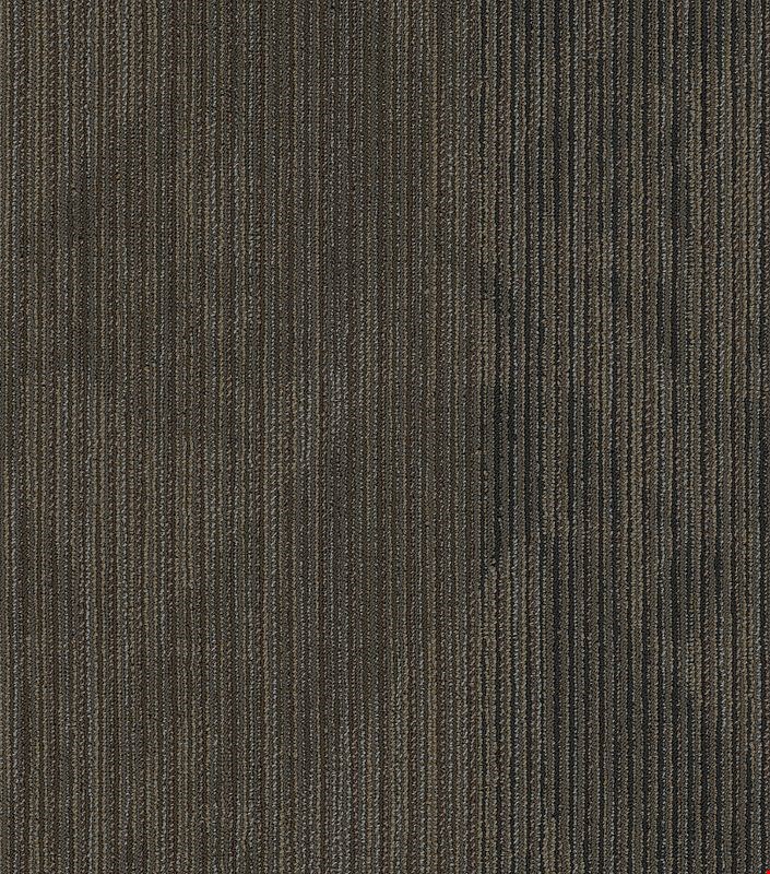 Shaw Declare: Coverage 24" x 24" Carpet Tile 54904 710
