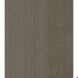 Shaw Disclose: Front-Page 24