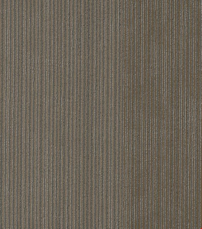 Shaw Disclose: Front-Page 24" x 24" Carpet Tile 54905 208