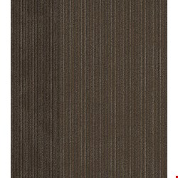 Shaw Disclose: Newsfeed 24