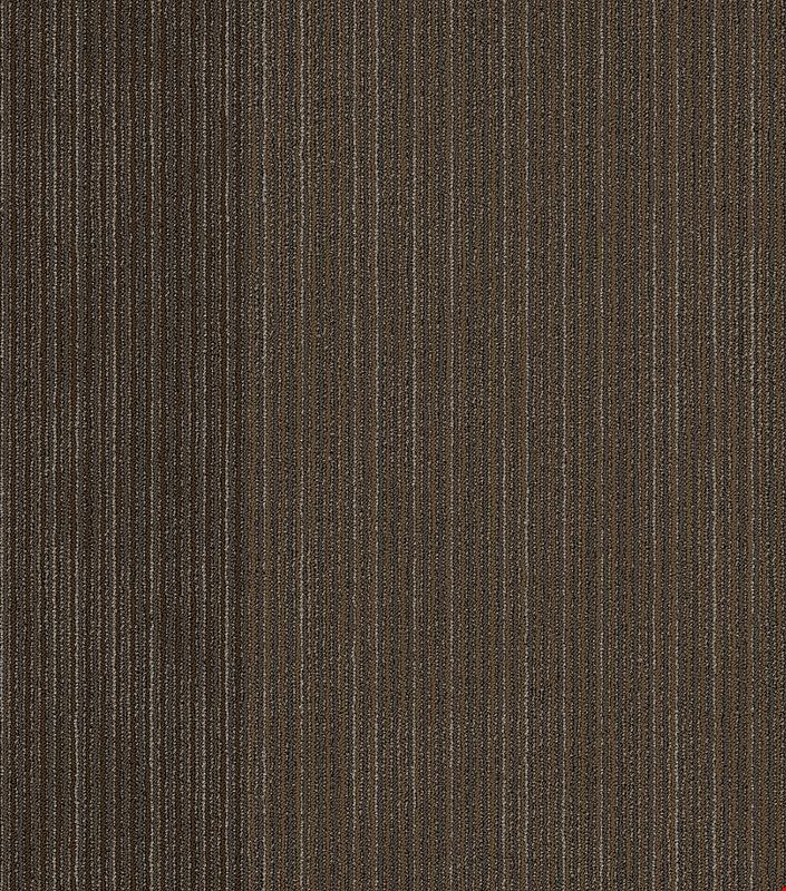 Shaw Disclose: Newsfeed 24" x 24" Carpet Tile 54905 210