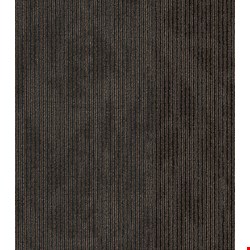 Shaw Disclose: Hard News 24