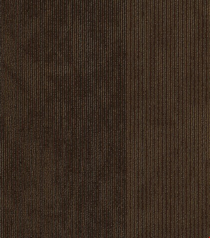 Shaw Disclose: Reported 24" x 24" Carpet Tile 54905 706