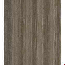 Shaw Document: Front-Page 24