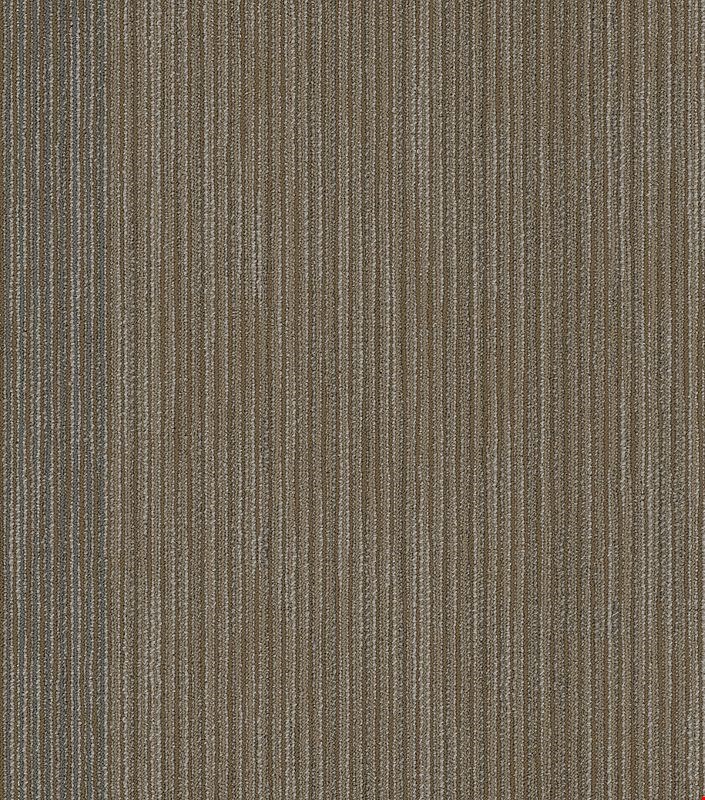 Shaw Document: Front-Page 24" x 24" Carpet Tile 54906 208