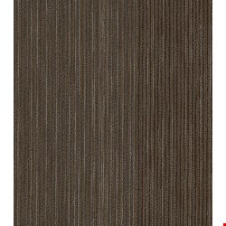 Shaw Document: Newsfeed 24