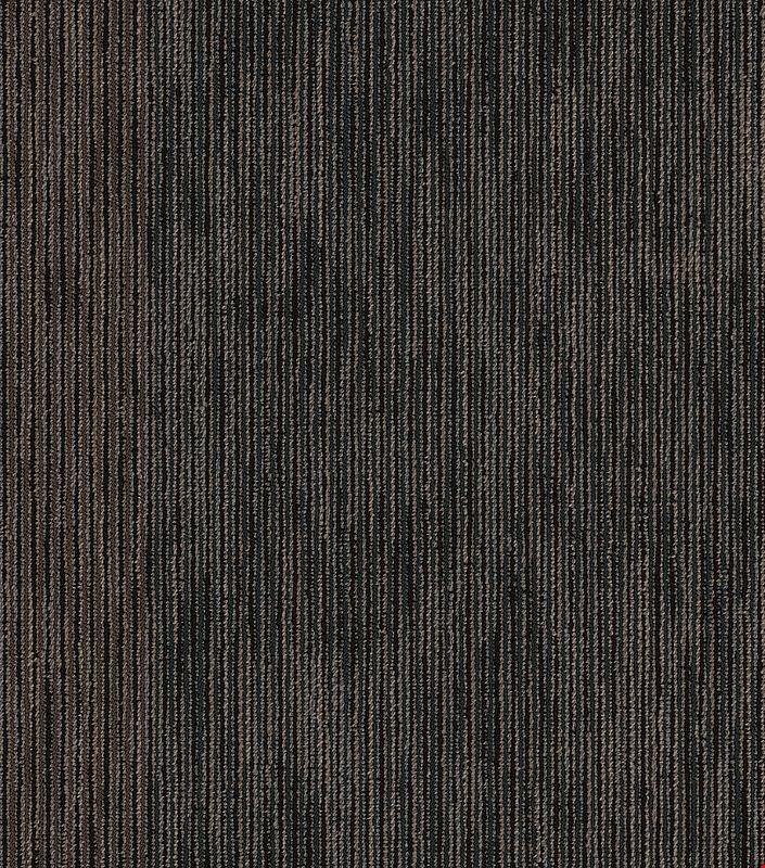 Shaw Document: Hard News 24" x 24" Carpet Tile 54906 502