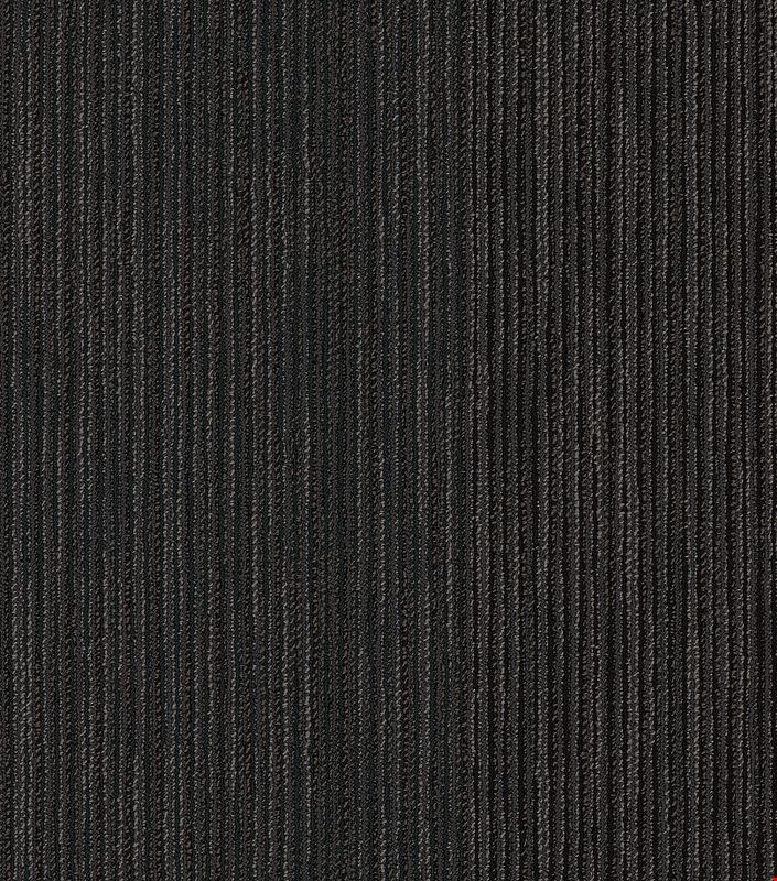 Shaw Document: Press Box 24" x 24" Carpet Tile 54906 512