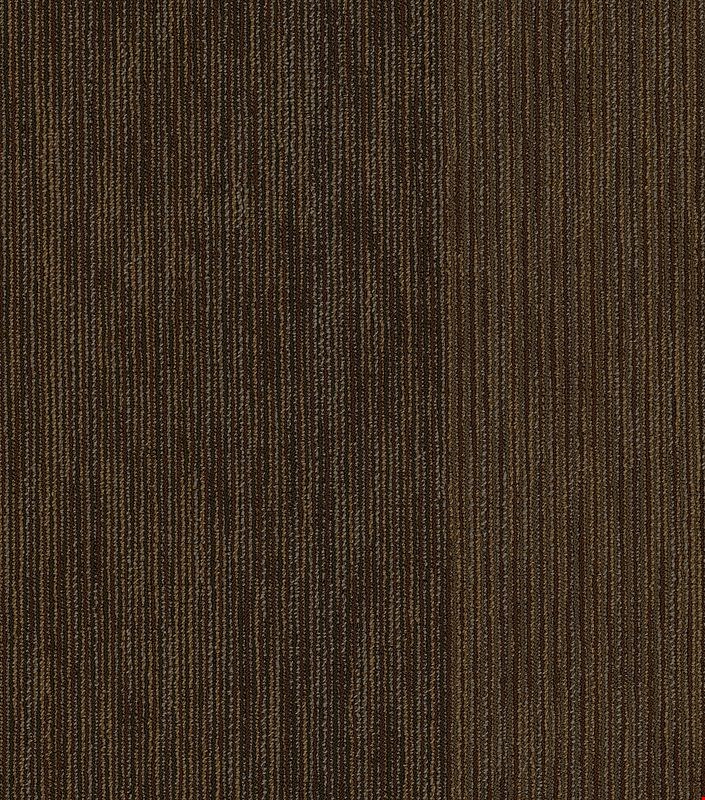 Shaw Document: Reported 24" x 24" Carpet Tile 54906 706