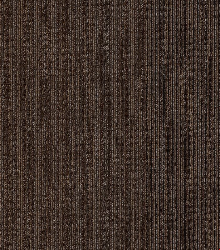 Shaw Document: Coverage 24" x 24" Carpet Tile 54906 710