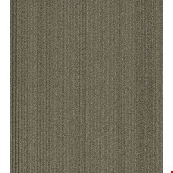 Shaw Practical: Effective 24