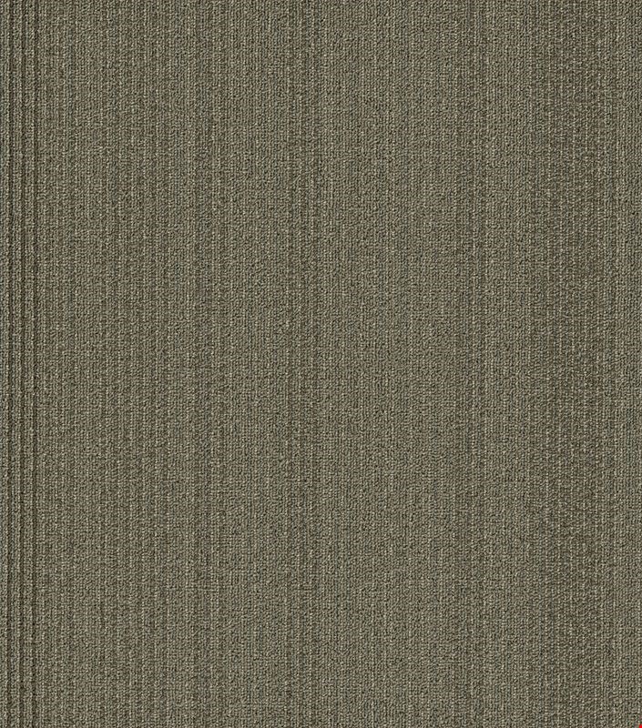 Shaw Practical: Effective 24" x 24" Carpet Tile 54924 24200