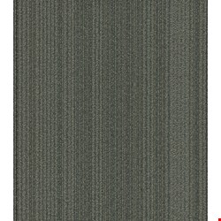 Shaw Practical: Systematic 24