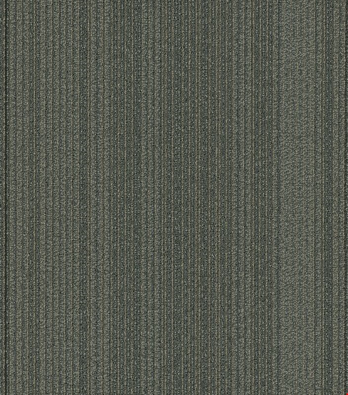 Shaw Practical: Systematic 24" x 24" Carpet Tile 54924 24305