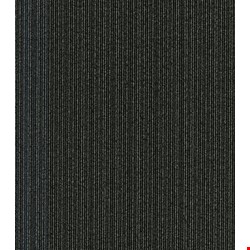 Shaw Practical: Realistic 24