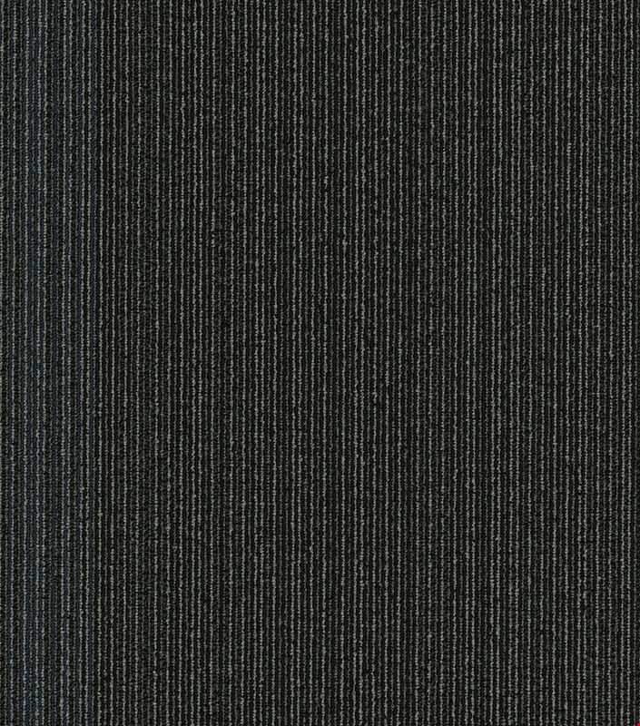 Shaw Practical: Realistic 24" x 24" Carpet Tile 54924 24405