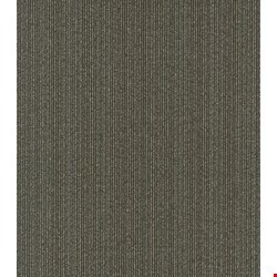 Shaw Practical: Sensible 24