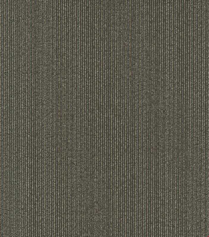 Shaw Practical: Sensible 24" x 24" Carpet Tile 54924 24500