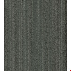 Shaw Practical: Astute 24