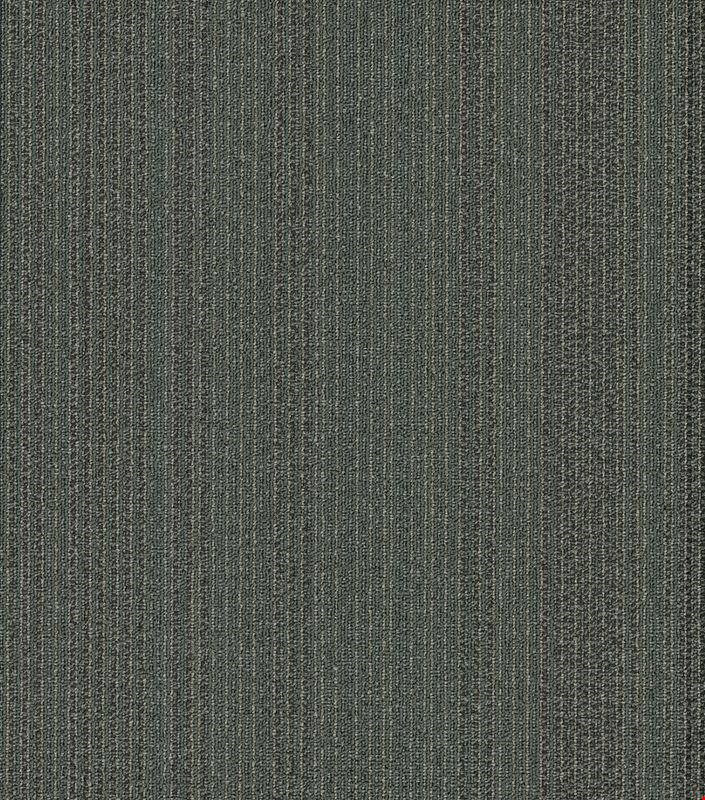 Shaw Practical: Astute 24" x 24" Carpet Tile 54924 24505