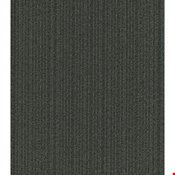 Shaw Practical: Rational 24